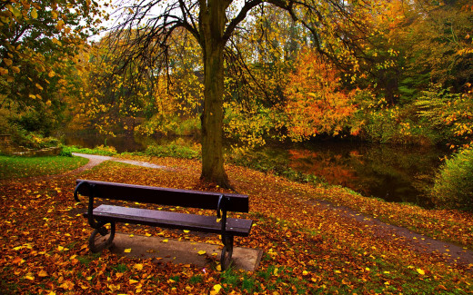499240 (a): :2560x1600